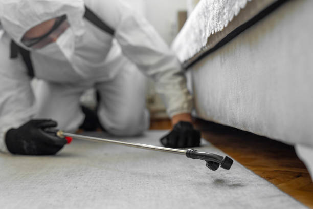Professional Emergency Pest Control technician working in Honaunau-Napoopoo, HI