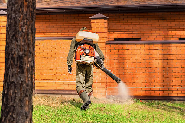 Trusted Cockroach Control service in Honaunau-Napoopoo, HI - Nex Pest Control